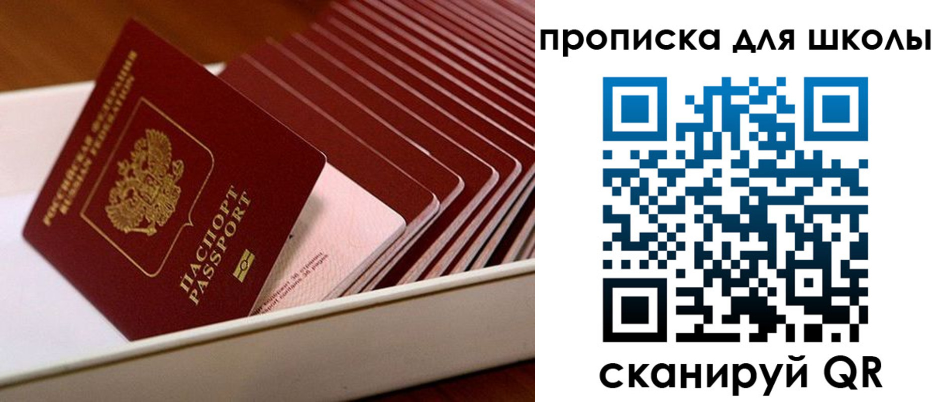 временная регистрация гарантия в Новокуйбышевске